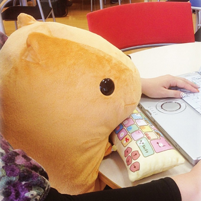 Pillows for healthy computer work — a new hit Japanese offices
