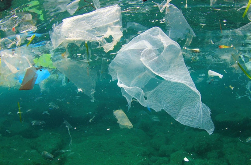 Plastic bag carry? The world's custom, where you can suddenly be a criminal