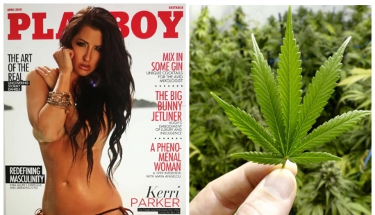 Playboy model, which remained only a year, had been cured of cancer thanks to marijuana