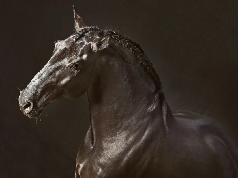 Poignant portraits of the Iberian Roma in the style of old paintings Poignant portraits of the Iberian Roma in the style of old paintings