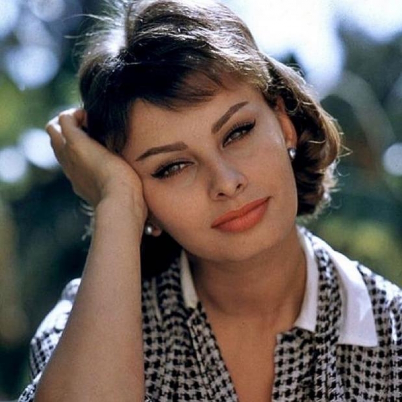 Poor girl Sophia, which conquered the whole world Poor girl Sophia, which conquered the whole world