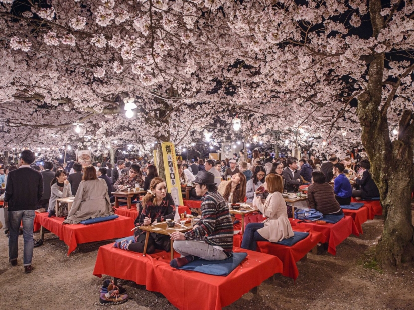 Por qué Kyoto fue elegida la mejor ciudad del mundo: 23 photoproofs