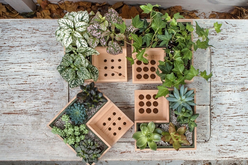 Productive self-isolation: the things that will help to work more effectively at home