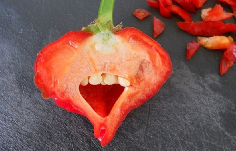 Products that will bring you to a screeching halt one of its kind