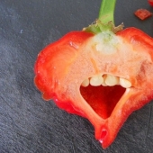 Products that will bring you to a screeching halt one of its kind