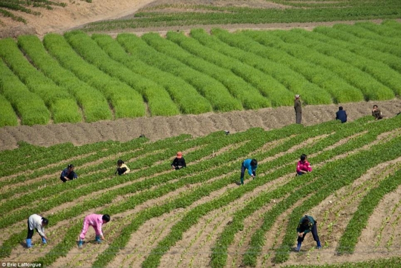 Prohibido fotos de Corea del Norte, filmado con una cámara oculta Prohibido fotos de Corea del Norte, filmado con una cámara oculta