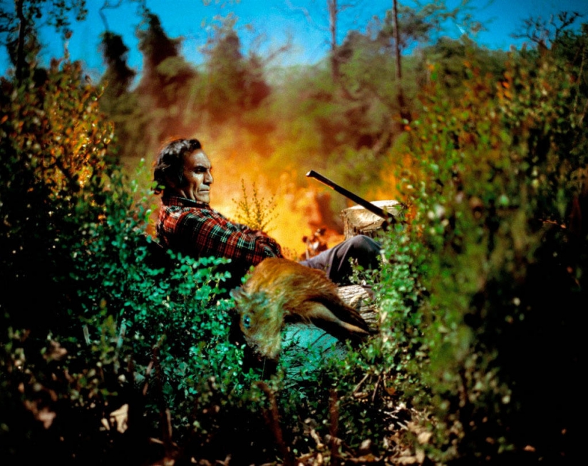 Proyecto "media luna": increíbles fotos tomadas a la luz de la luna