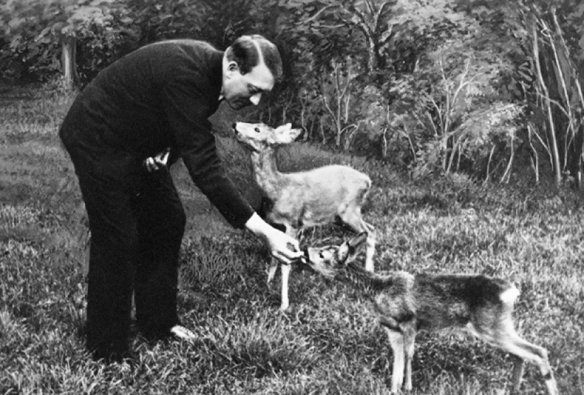 Que son ecotality y por qué nos quieren matar