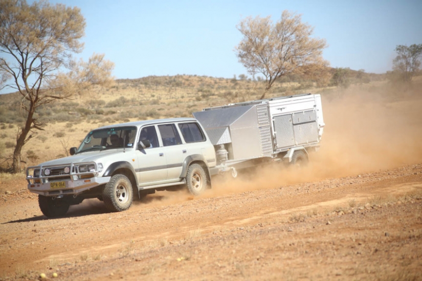 Que son el gris Wanderers de Australia Que son el gris Wanderers de Australia