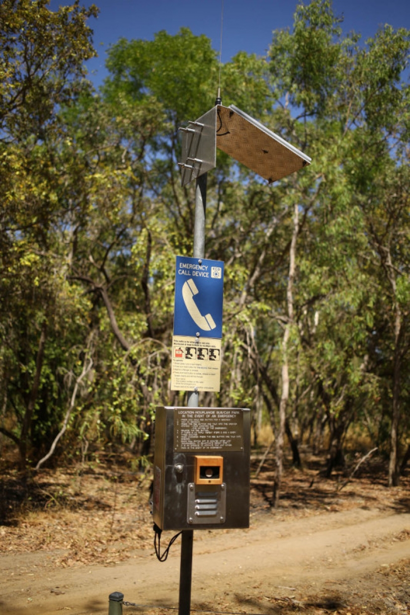 Que son el gris Wanderers de Australia Que son el gris Wanderers de Australia