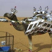 Quién eres tú, Dubai, bye: enloquecedor, divertida y un poco de lujo