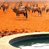 Reclinada tour: 9 mejor de hidromasaje en el planeta