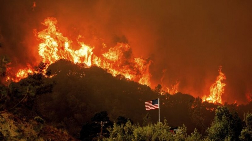 Resourceful American put out a fire with beer and saved your home and business