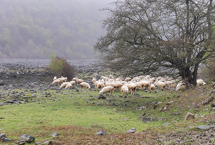 Robinson en cuarentena: historia de supervivencia de un exiliado ruso