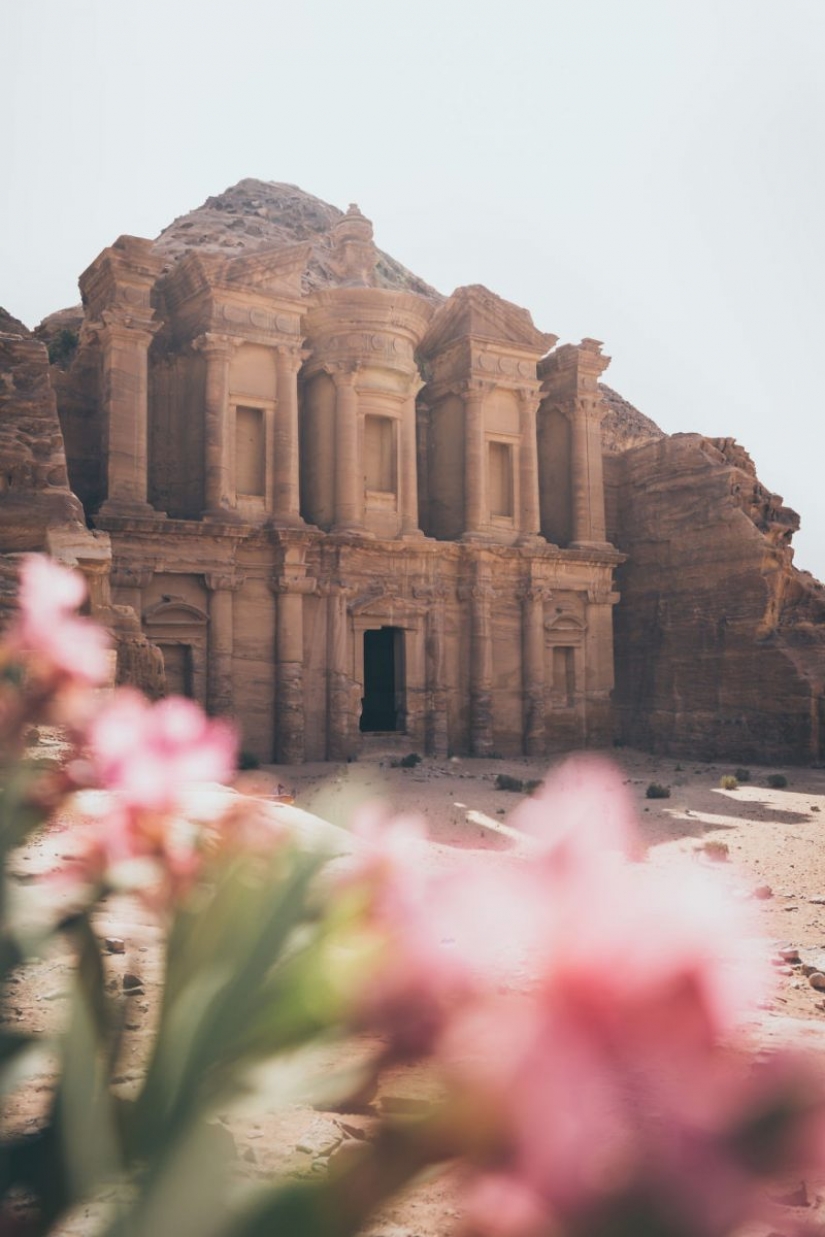 Rojo de primavera: mejores fotos del concurso de fotografía de la Primavera 2020