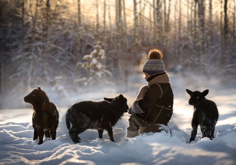 Russian woman creates stunning photographs of your children with animals in the village