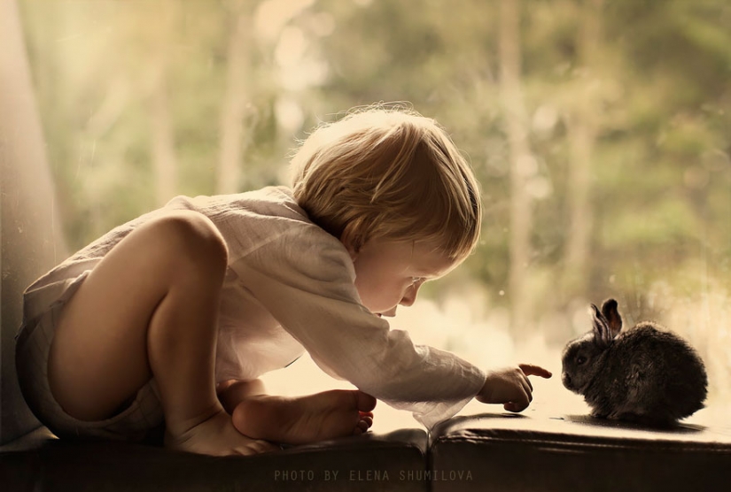 Russian woman creates stunning photographs of your children with animals in the village
