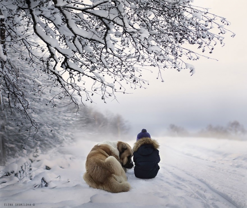 Russian woman creates stunning photographs of your children with animals in the village