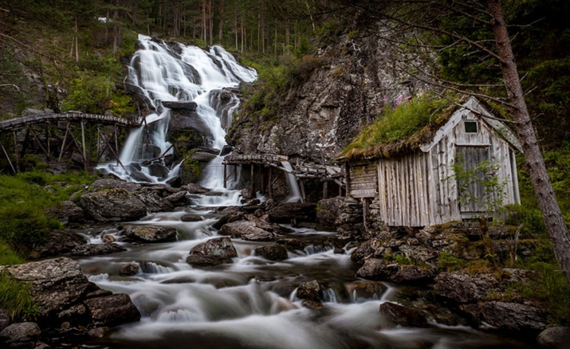 Scandinavian houses with overgrown roof, which I want to settle immediately