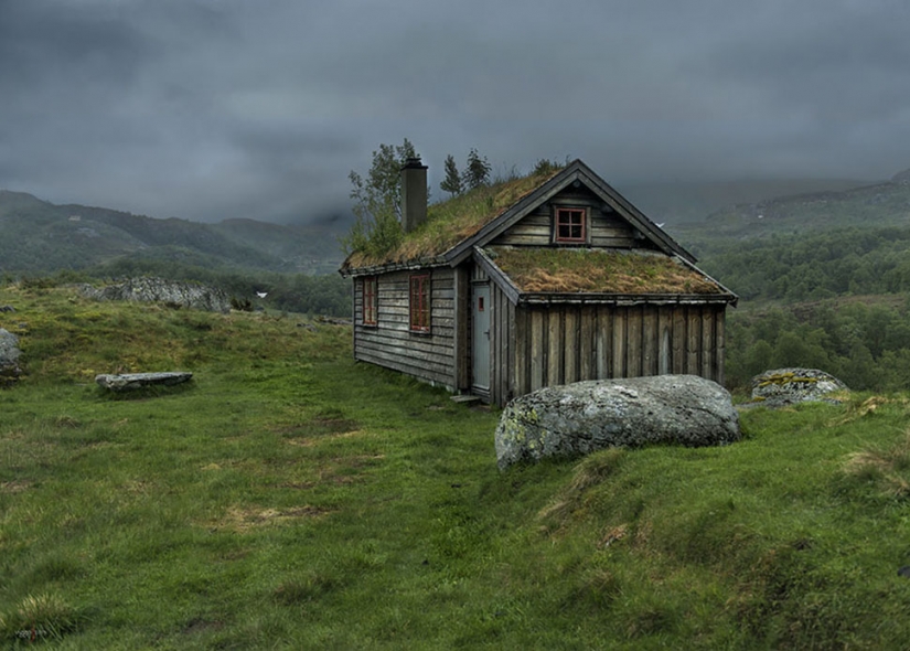 Scandinavian houses with overgrown roof, which I want to settle immediately