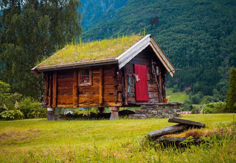 Scandinavian houses with overgrown roof, which I want to settle immediately