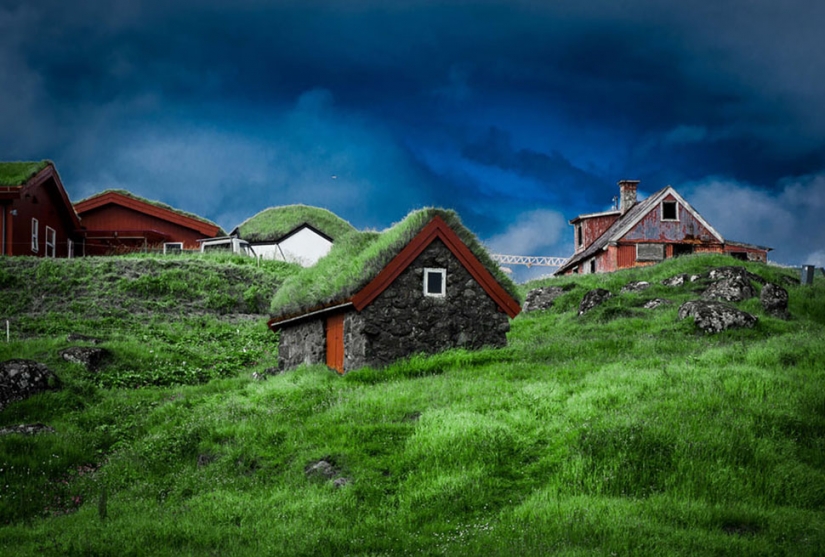 Scandinavian houses with overgrown roof, which I want to settle immediately