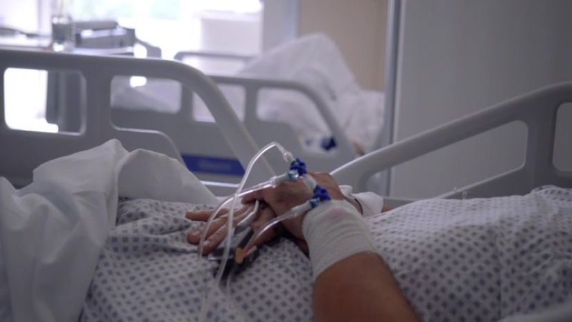 Scientists have restored the affected lungs of a person, connecting them to the swine Scientists have restored the affected lungs of a person, connecting them to the swine