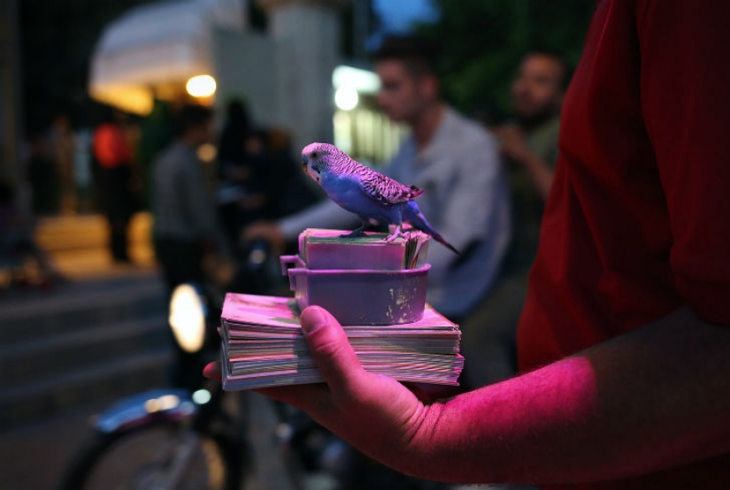 Se parece a Irán sin una política, los enjuiciamientos y las sanciones Se parece a Irán sin una política, los enjuiciamientos y las sanciones