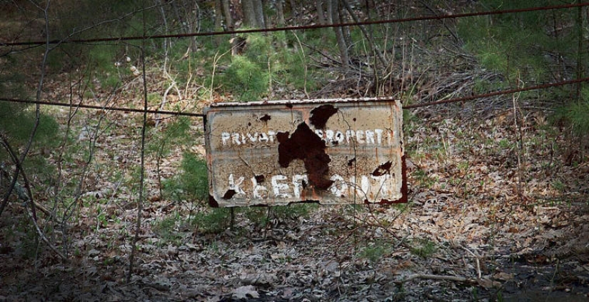 Seven of the most terrible of the world's forests