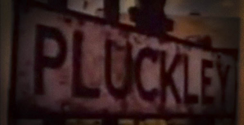 Seven of the most terrible of the world's forests