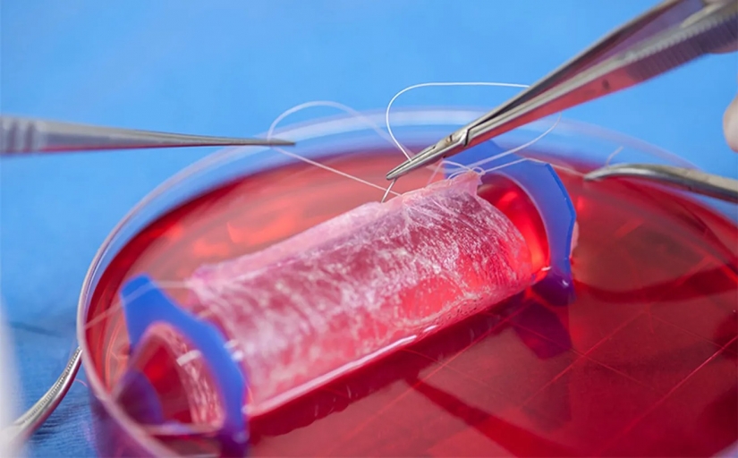 Sex breakthrough: the 5 most incredible scientific achievements of the recent years