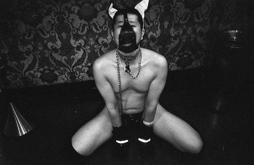 Shocking Tokyo: the Japanese have in institutions for adults