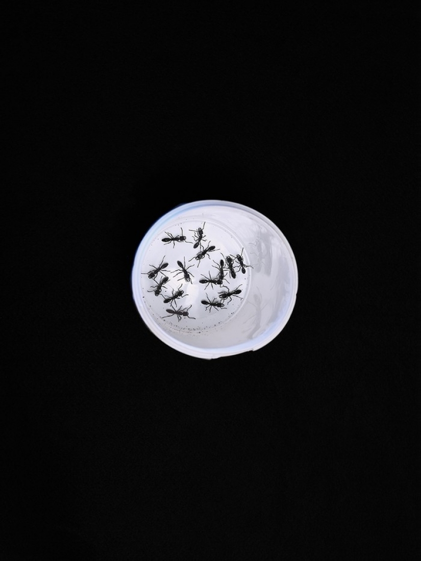 Shocking tradition of Cameroon — breast Ironing Shocking tradition of Cameroon — breast Ironing