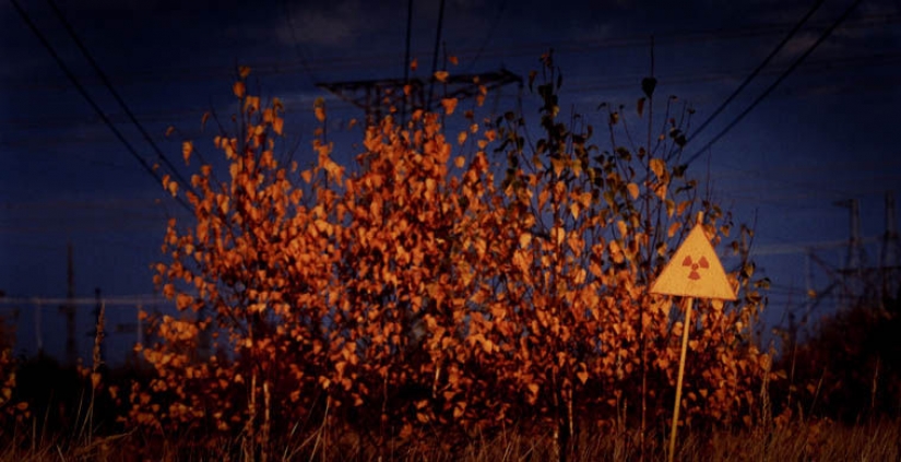 Siete de los más terribles de los bosques del mundo Siete de los más terribles de los bosques del mundo
