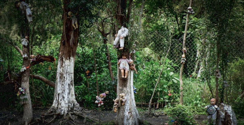 Siete de los más terribles de los bosques del mundo Siete de los más terribles de los bosques del mundo