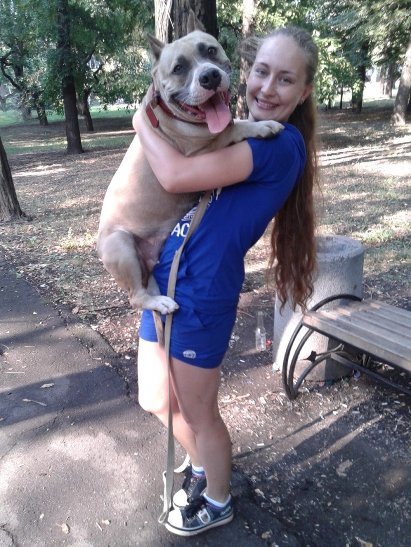 Size matters: these huge dogs are sure that they are hand Size matters: these huge dogs are sure that they are hand