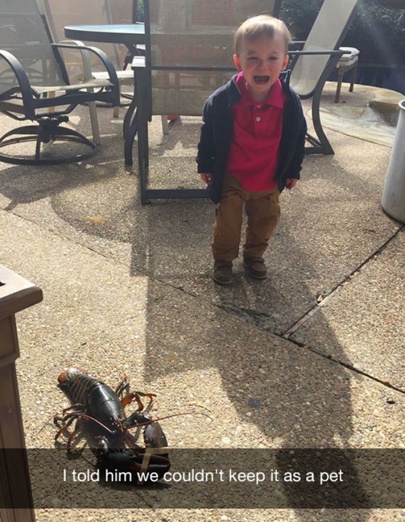 Sorry for the bird: the most stupid reason of children's tears Sorry for the bird: the most stupid reason of children's tears