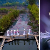 Spring red: best shots photo contest Spring 2020