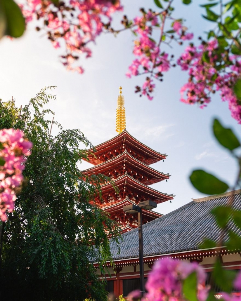 Spring red: best shots photo contest Spring 2020