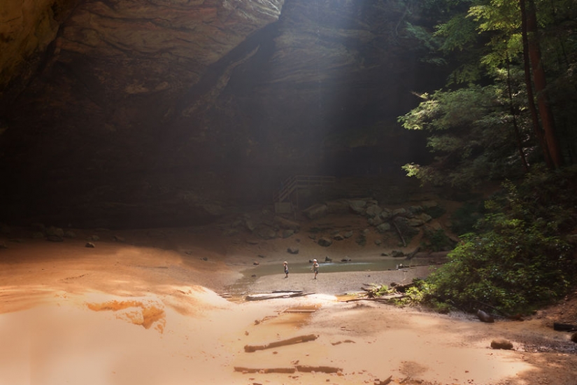 Summer without Internet: the winners of the contest about childhood in nature Summer without Internet: the winners of the contest about childhood in nature