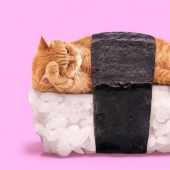 Surreal side of everyday objects in collage Mexican Sex Fuentes