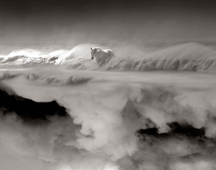 Surrealism in the works of Thomas Barbey