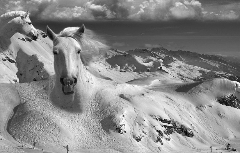 Surrealism in the works of Thomas Barbey