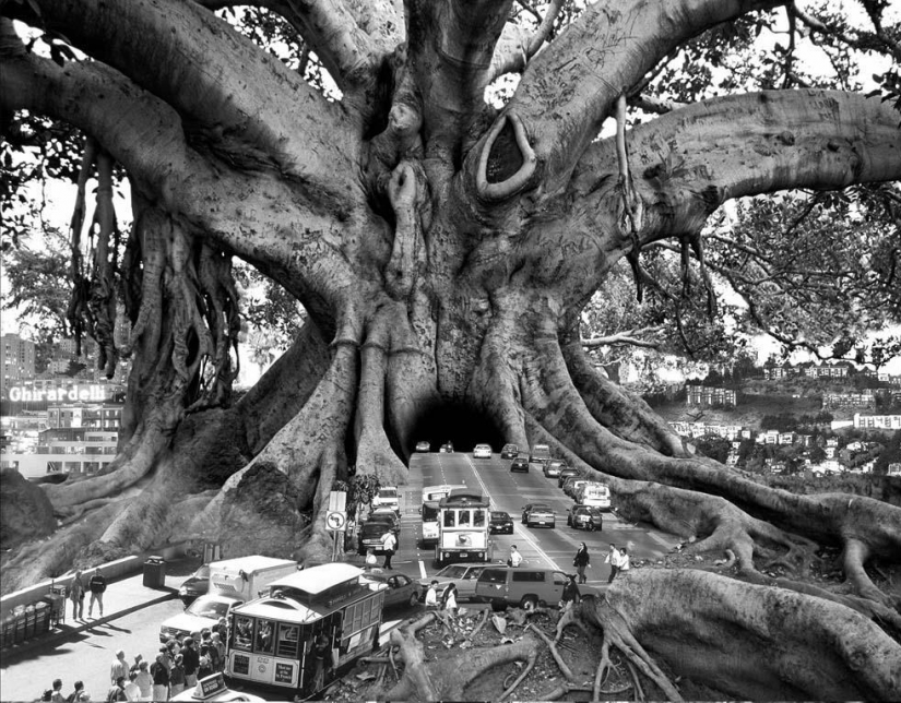 Surrealism in the works of Thomas Barbey