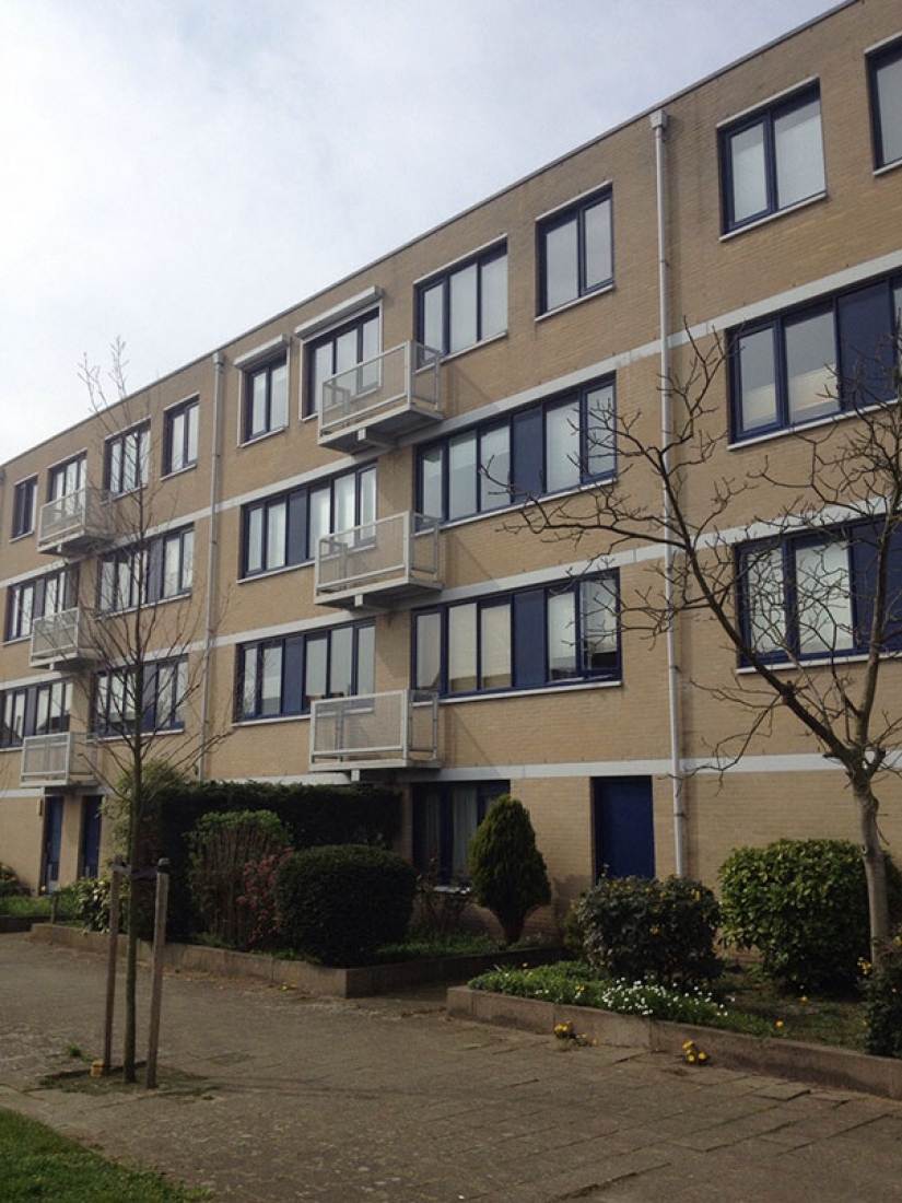 Tenían un solo objetivo, y no pueden manejarlo