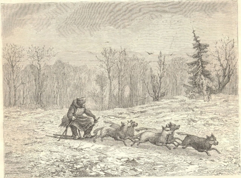 That the Russian well... Sketches of foreigners who visited Russia in the mid-nineteenth century That the Russian well... Sketches of foreigners who visited Russia in the mid-nineteenth century