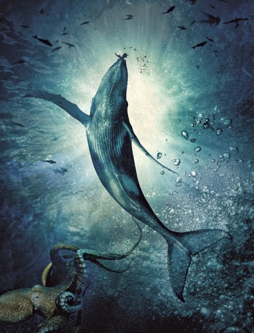 The adventures of baby in the style of pirates of the Caribbean