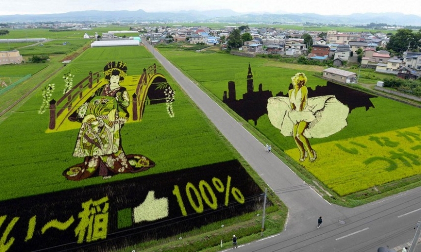 The art of Tambo — incredible pictures in the rice fields of Japan The art of Tambo — incredible pictures in the rice fields of Japan
