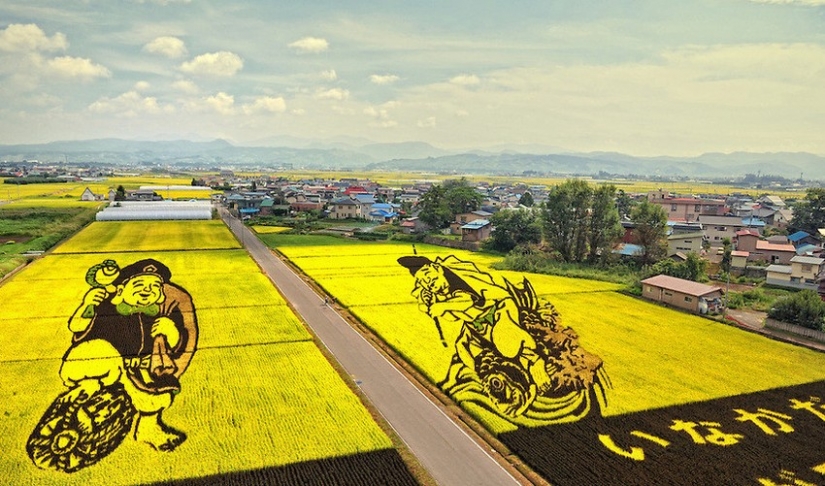 The art of Tambo — incredible pictures in the rice fields of Japan The art of Tambo — incredible pictures in the rice fields of Japan