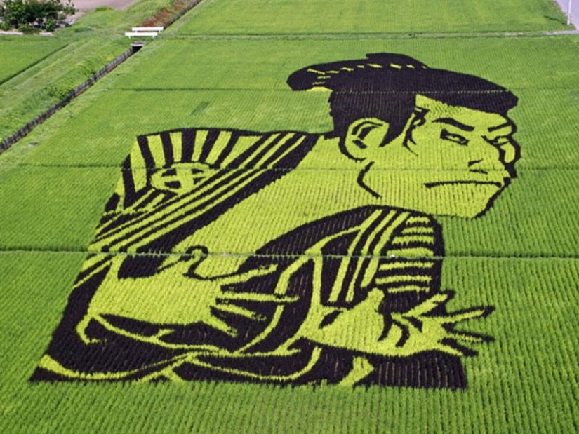 The art of Tambo — incredible pictures in the rice fields of Japan The art of Tambo — incredible pictures in the rice fields of Japan